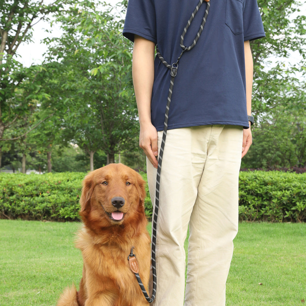 Pet Multifunctional Adjustable Reflective Hand Holding Rope