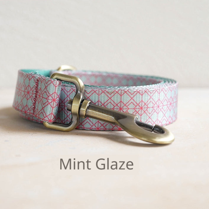 Medium To Large Dog Training Leash