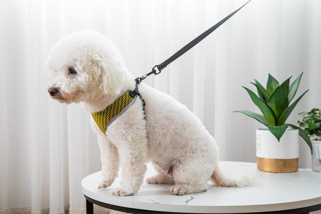 Vest-Style Dog Walking Harness Leash