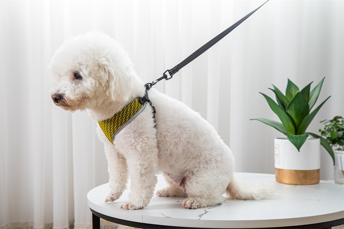 Vest-Style Dog Walking Harness Leash