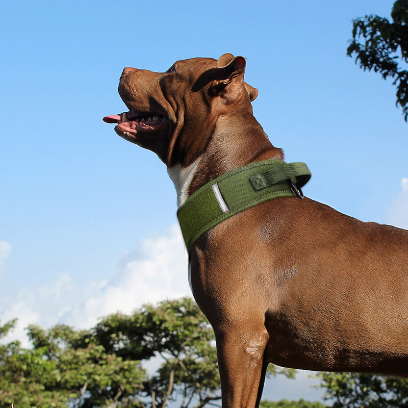 Horse And Dog Collar Camouflage Nylon
