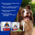 Dog Teeth Cleaning Powder