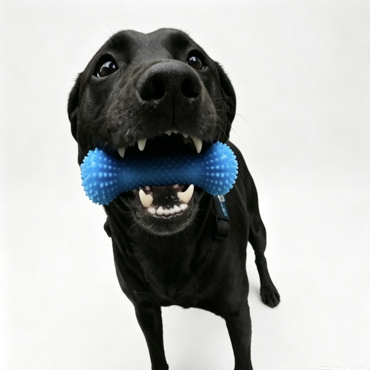 Pet Teething Chew Stick for Quick Teeth Brushing