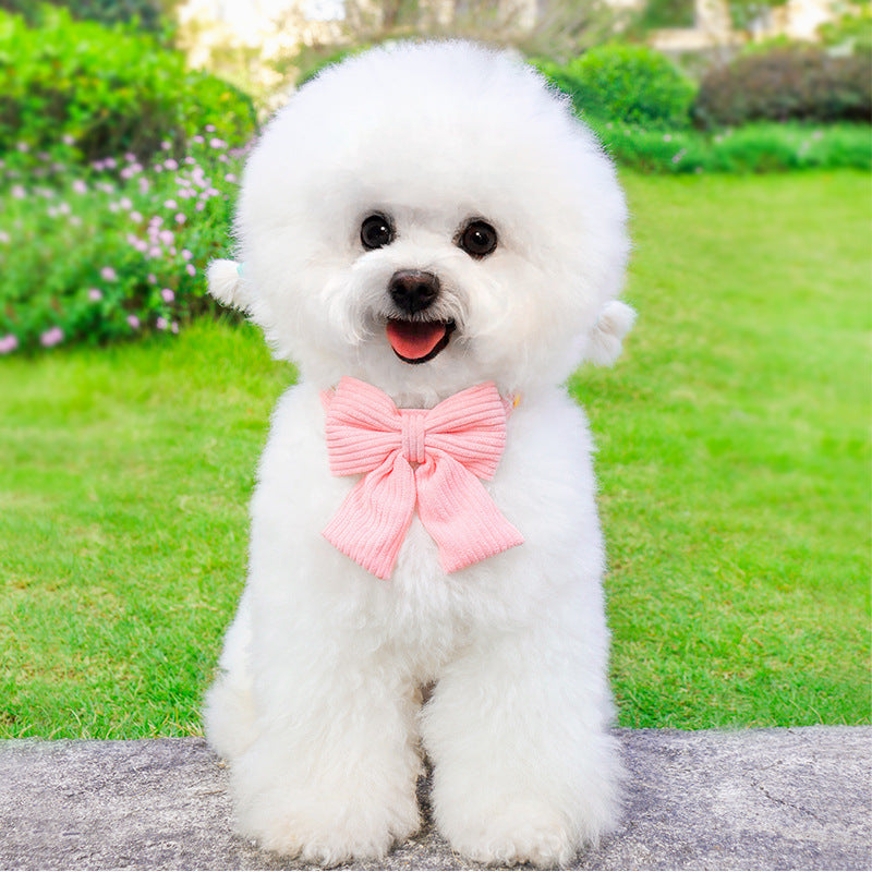 Outdoor Dog Leash And Harness