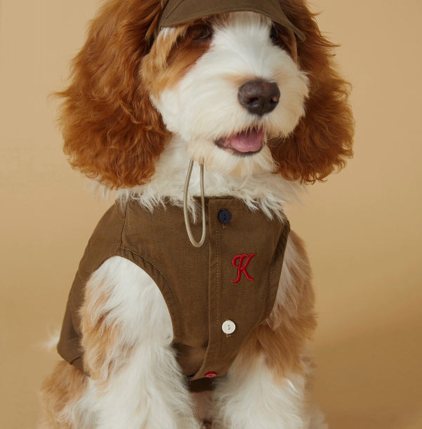 Spring And Summer Pet Sports Vest