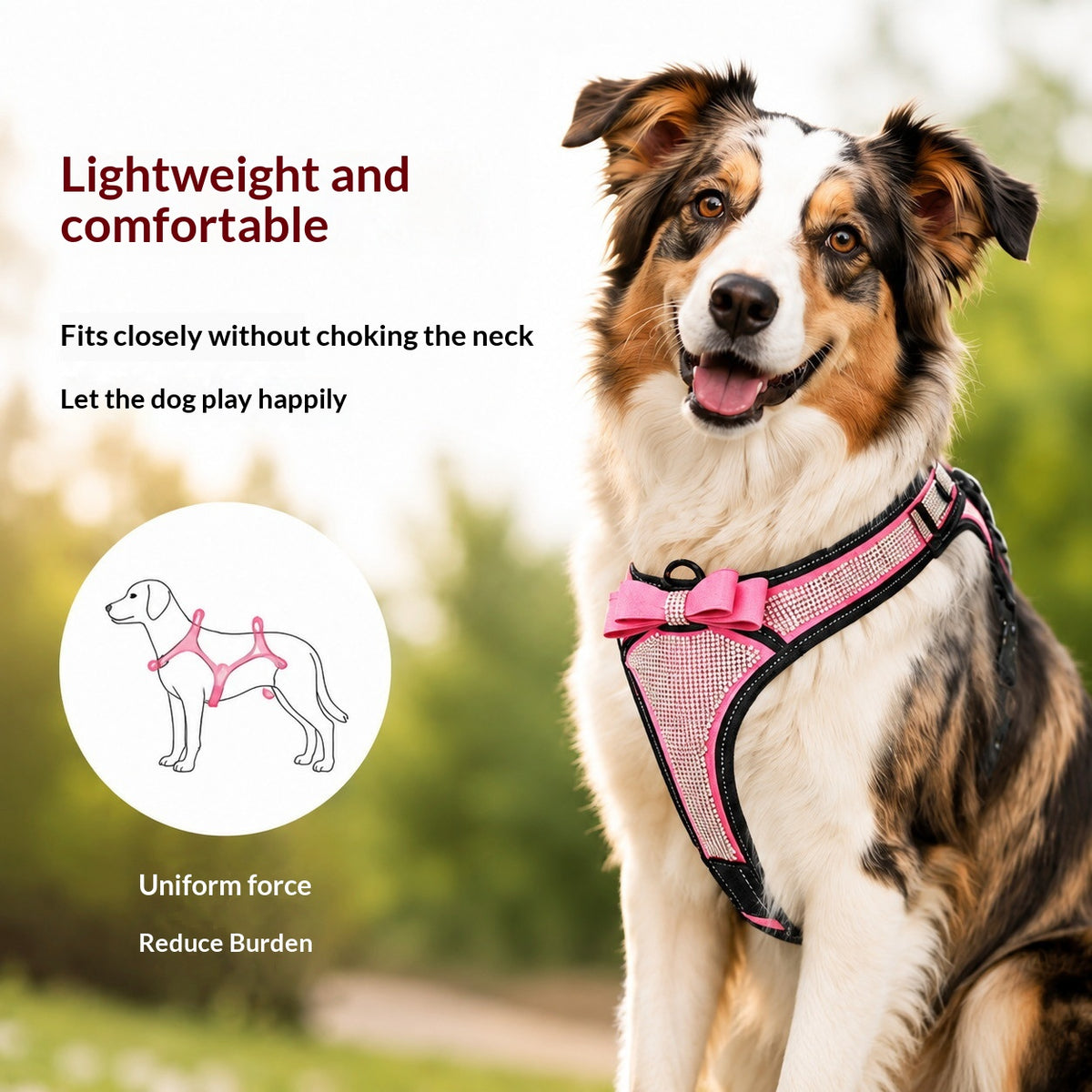 Outdoor Harness for Small and Medium Dogs