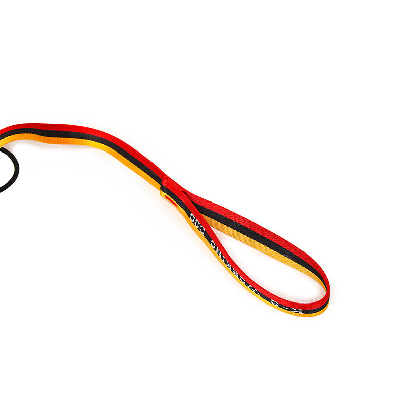 Minimalist Pet Leash Easy-To-Extend Design For Medium And Large Dogs
