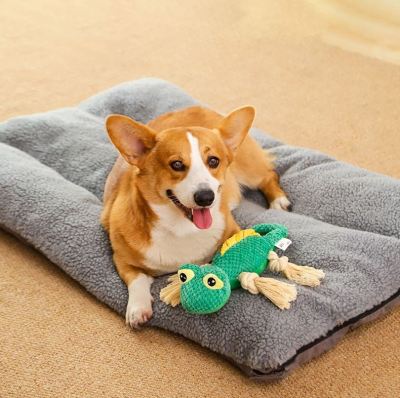 Dog Sound Toy Bite-Resistant Molar Pet Alone Relieving Stuffy Training Small Puppy Golden Retriever Supplies