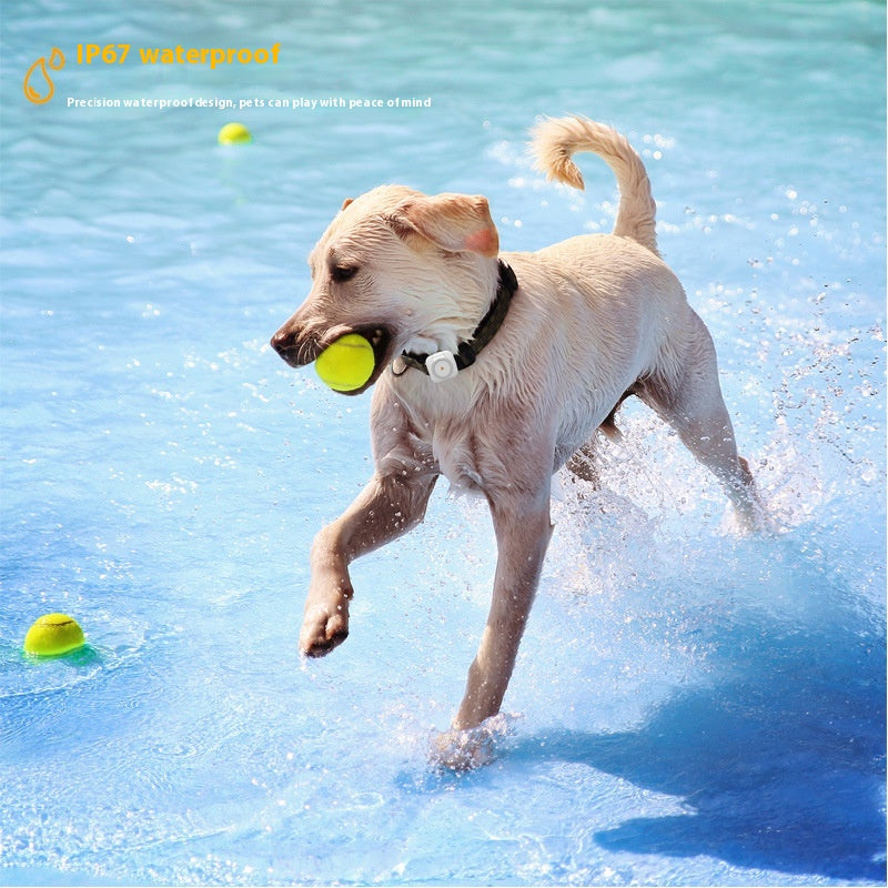 Pet Gps Global Locator Health Monitoring