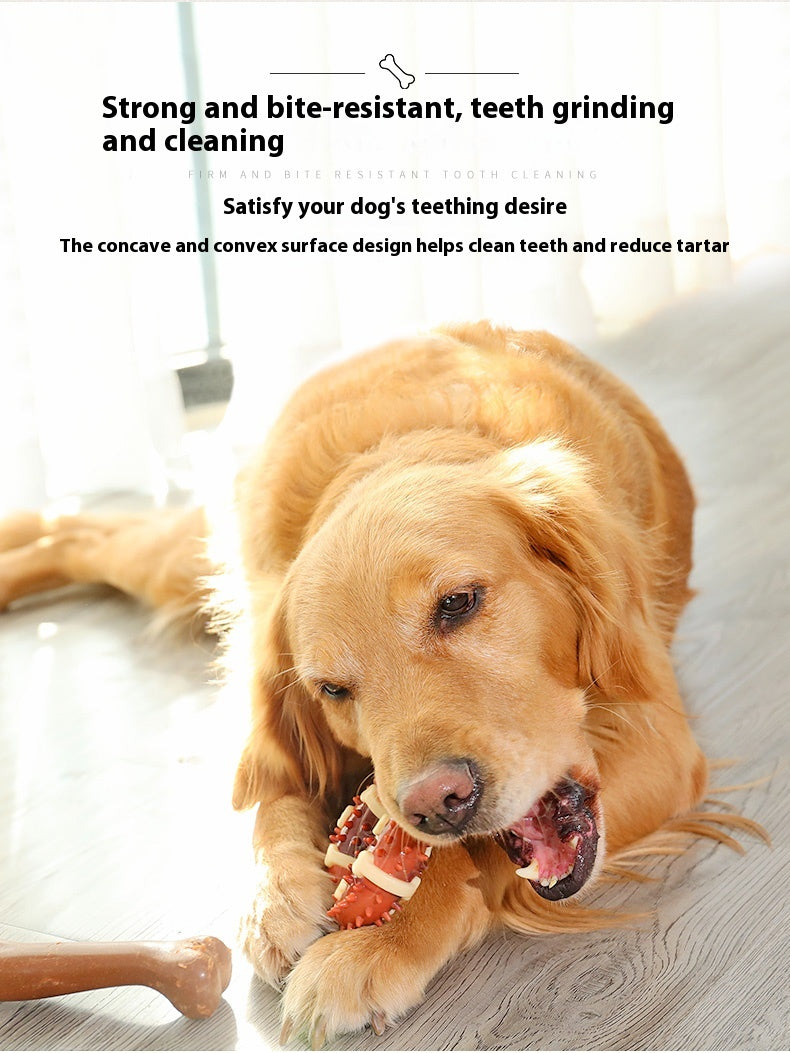 Dog Pet Molar Toy Bite-Resistant Bone