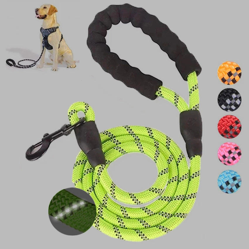 Reflective Nylon Dog Leash