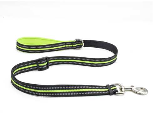 Nylon Retractable Dog Leash