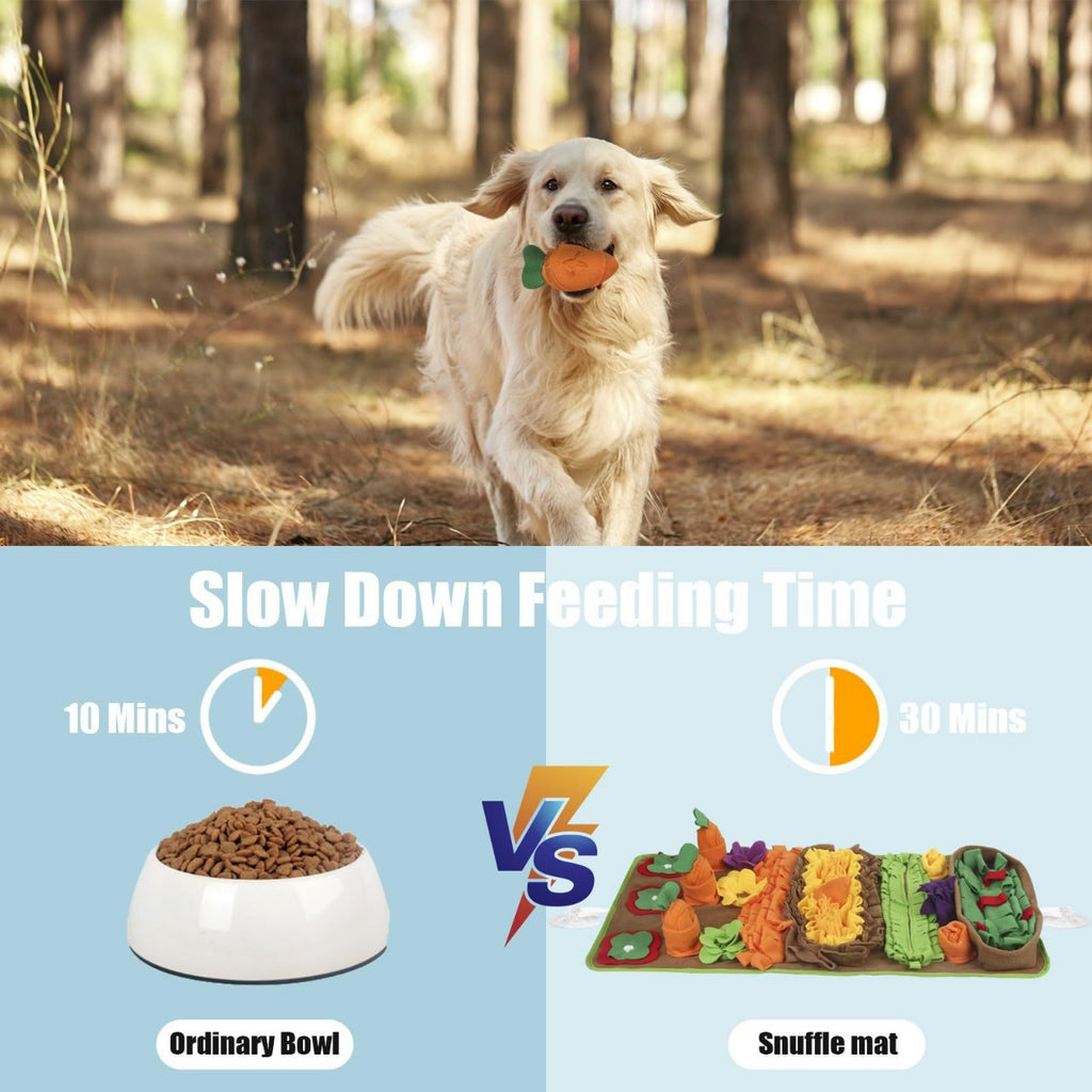 Interactive Carrot Snuffle Mat For Dogs