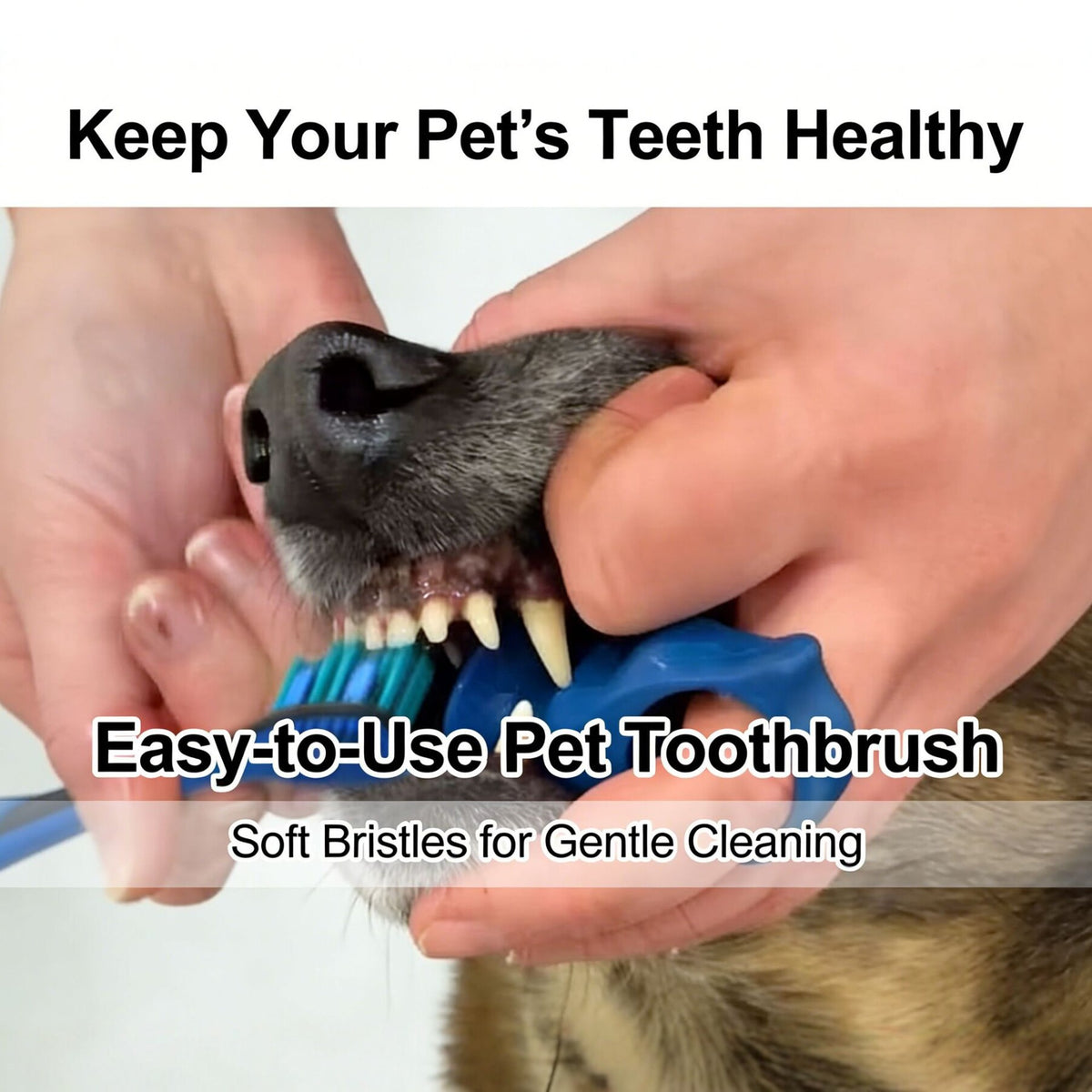 Silicone Finger Toothbrush for Pets