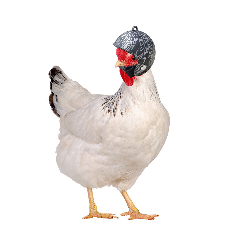 Helmet Chicken Pet Supplies Protective Chicken Hat
