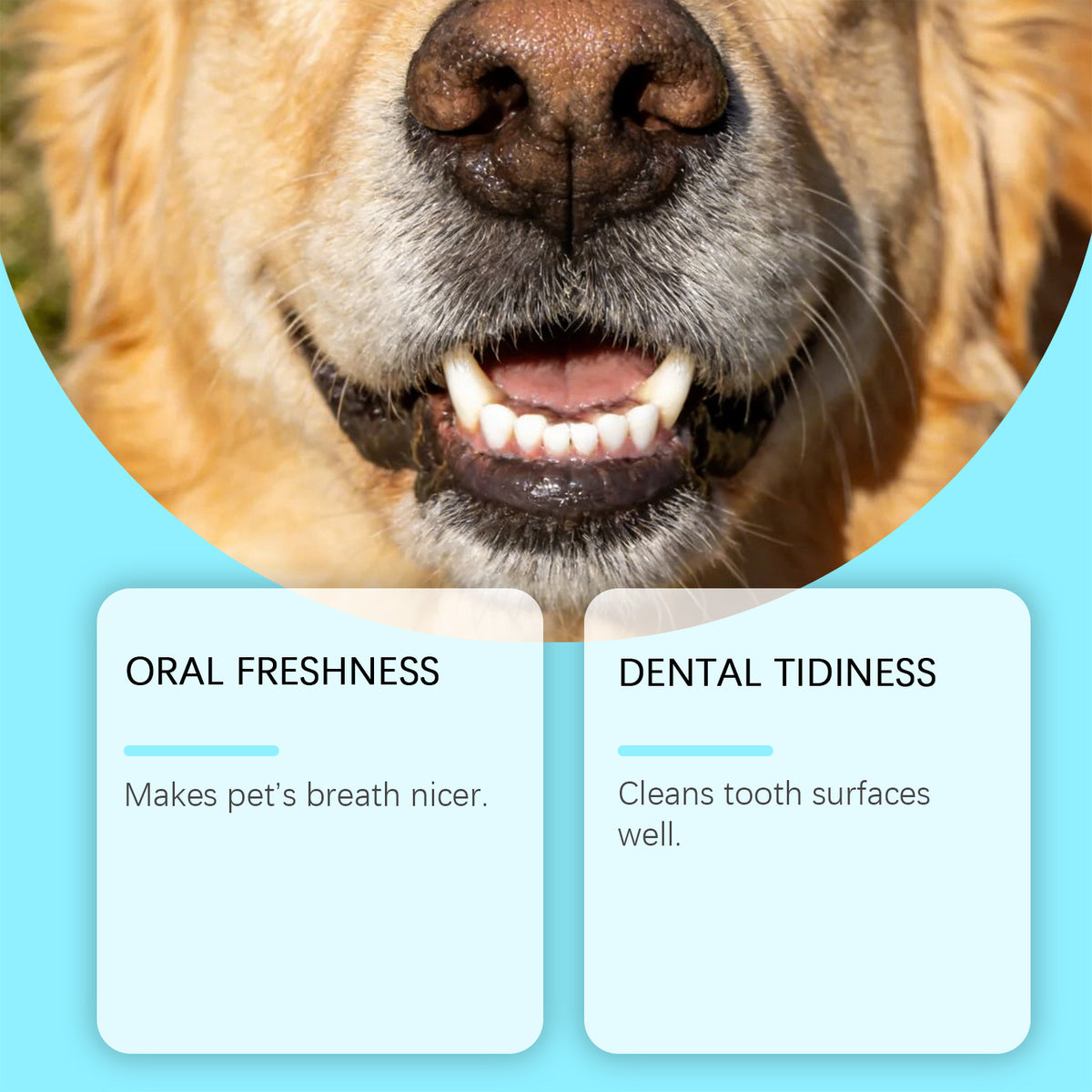 Pet Dental Finger Cots With Wipes