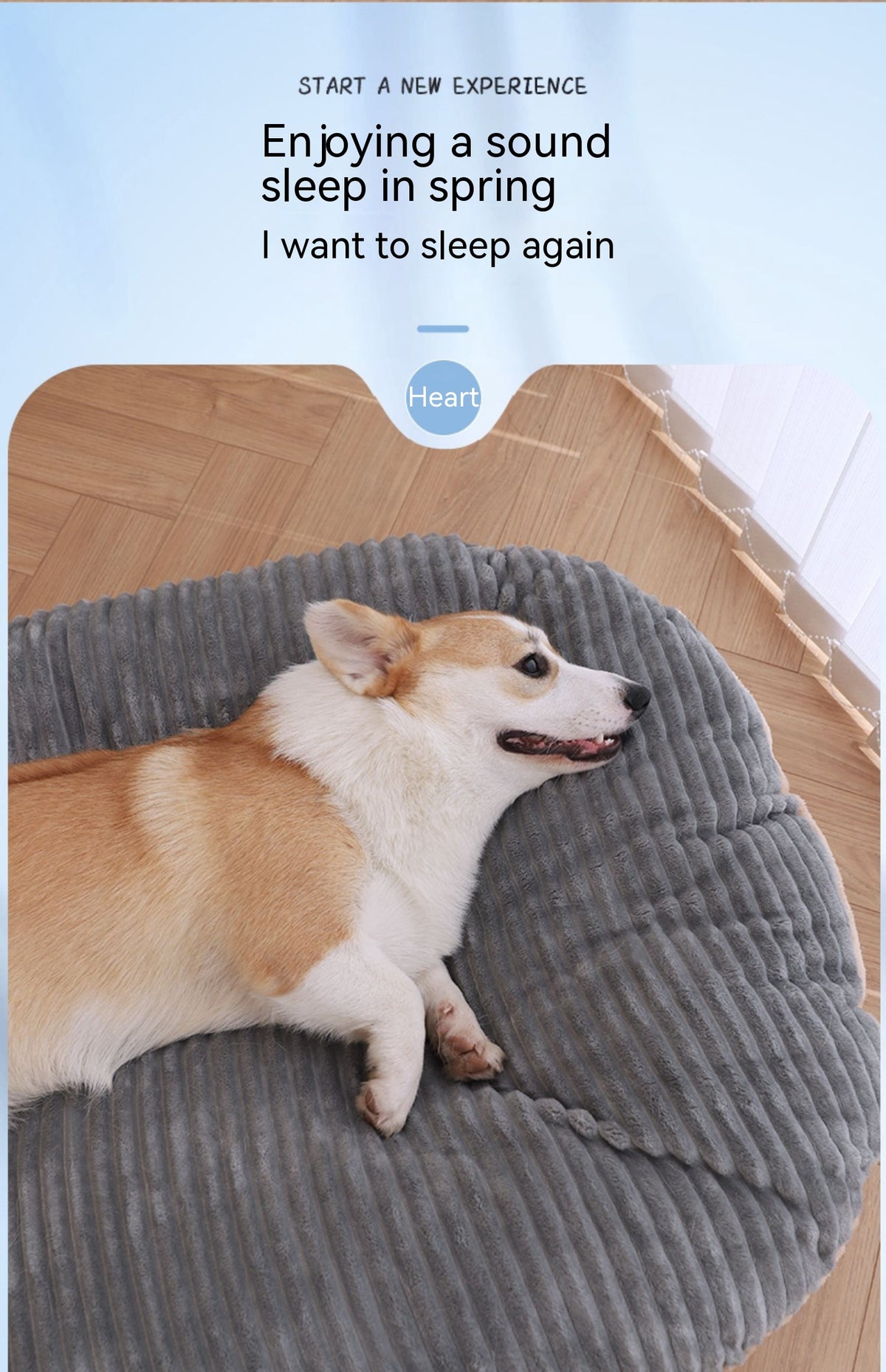 Four Seasons Double-Sided Dog Mat
