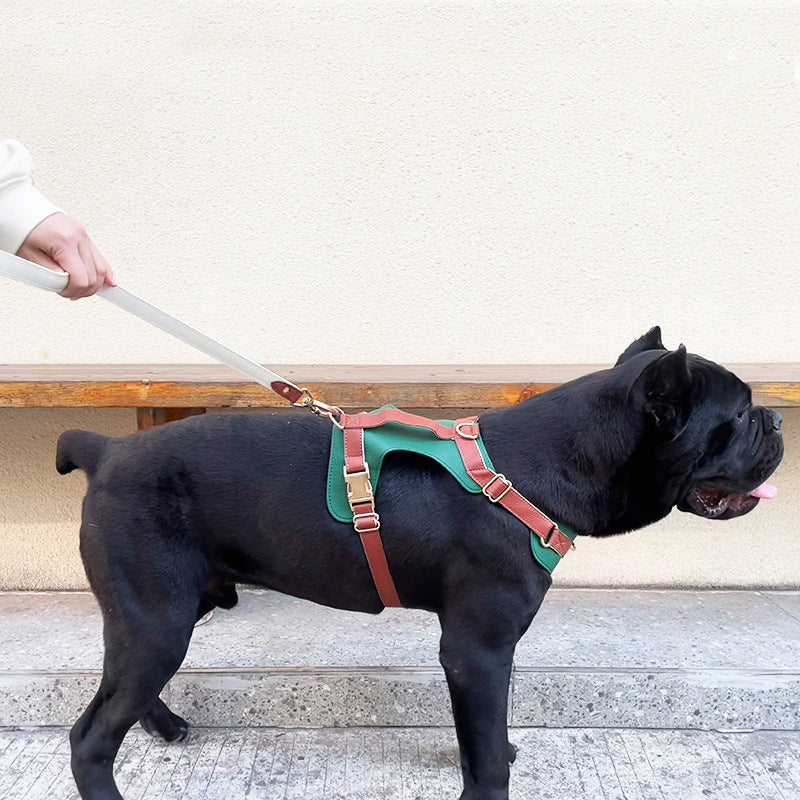 Leather Dog Harness And Leash
