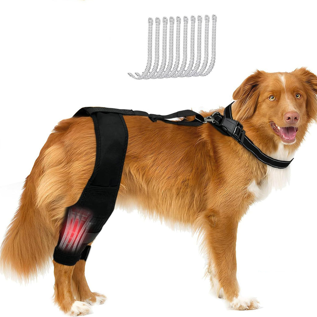 Dog Leg Protector with Knee Brace