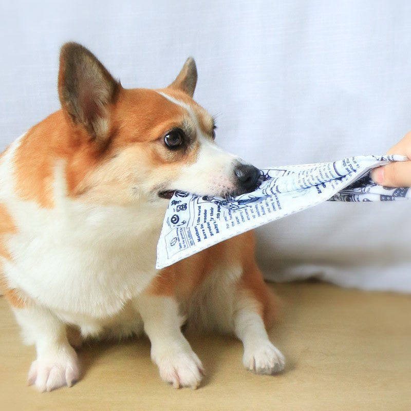 Dog Bite-Resistant Molar Interactive Sound Simulation