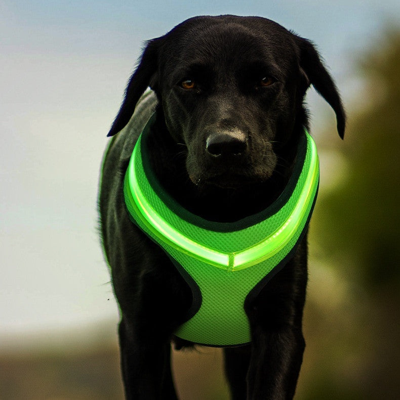 Reflective LED USB Dog Harness