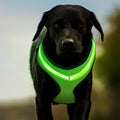Reflective LED USB Dog Harness