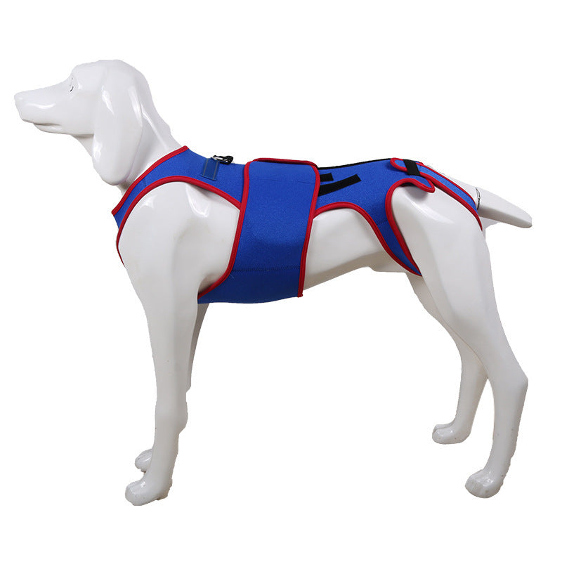 Dog Spine Support Anti-Hunch Jacket