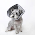 Simple Bone Pet Anti-Bite Headgear