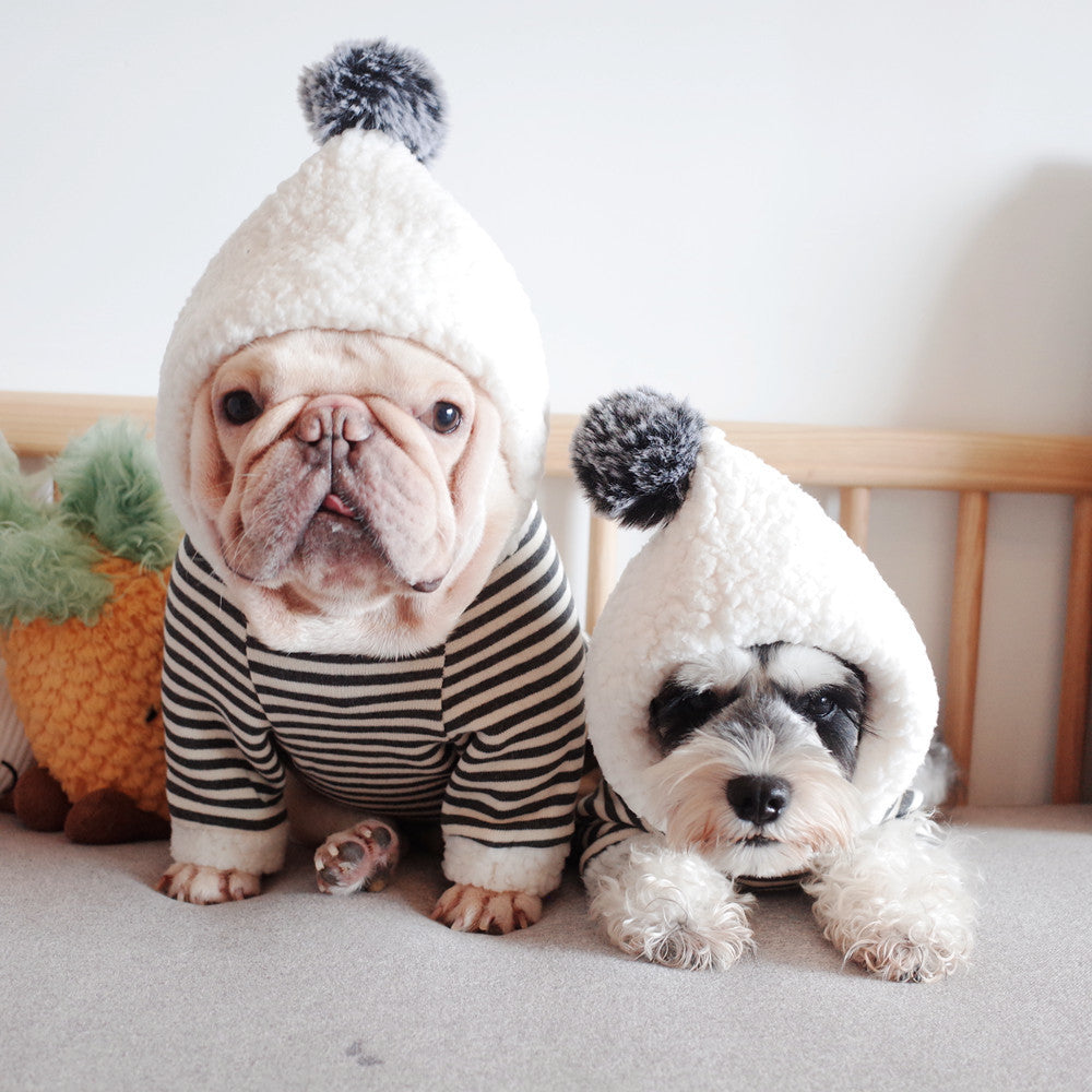 Pet Dog Lamb Velvet Striped Knitted Hooded Sweater