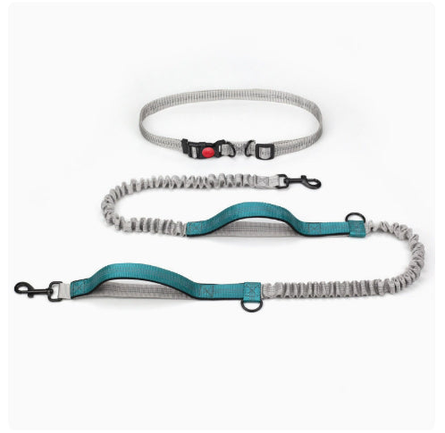 Outdoor Running Dog Leash