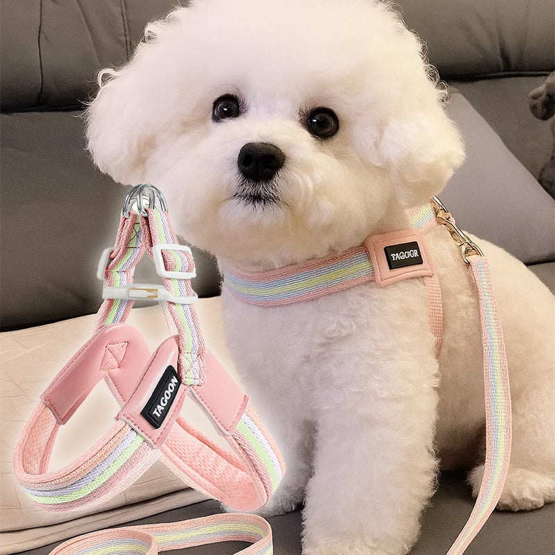 Breathable Rainbow Leash Harness Set for Small-Medium Dogs