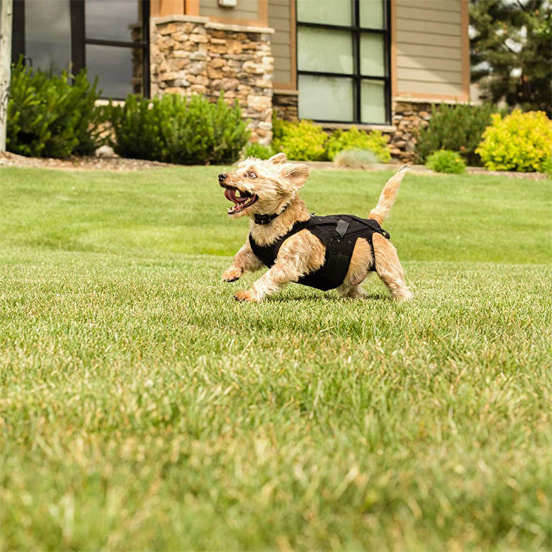 Dog Back Support Vest