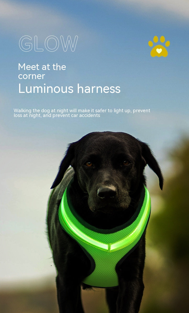 Reflective LED USB Dog Harness