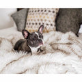 Machine Washable Waterproof Dog Couch Bed
