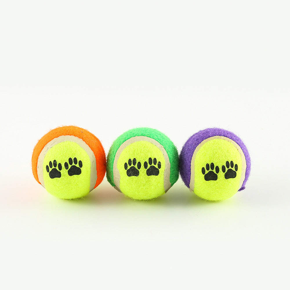 Outdoor Pet Throwing Training Toy