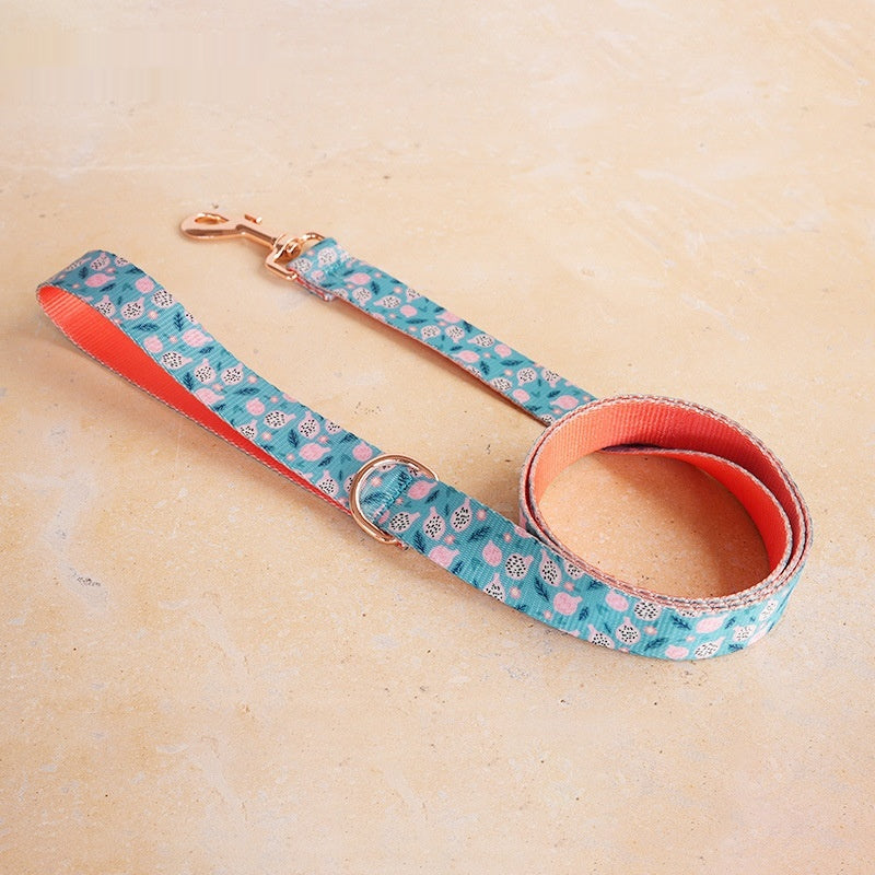 Durable Fruit-Print Nylon Pet Leash With Metal Buckle
