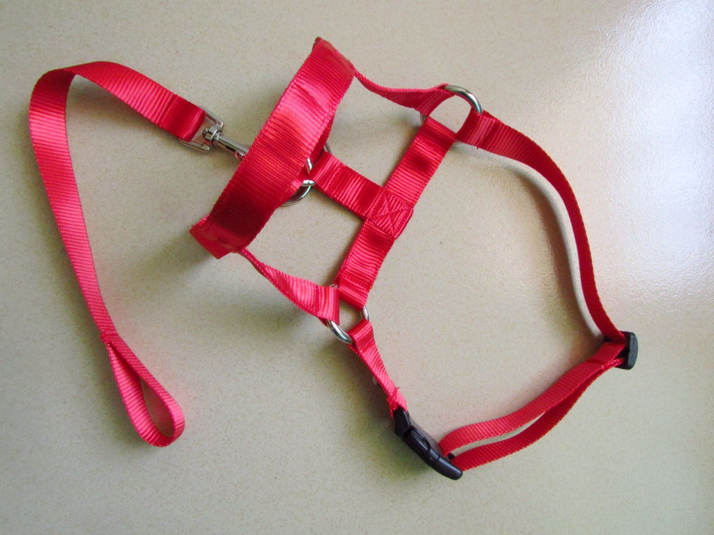 Anti-Riot Rushing Dog Traction Rope For Dog Walking
