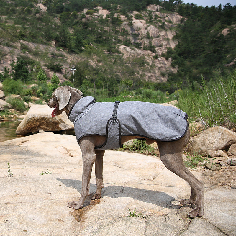 Winter Dog Ski Shell Jacket
