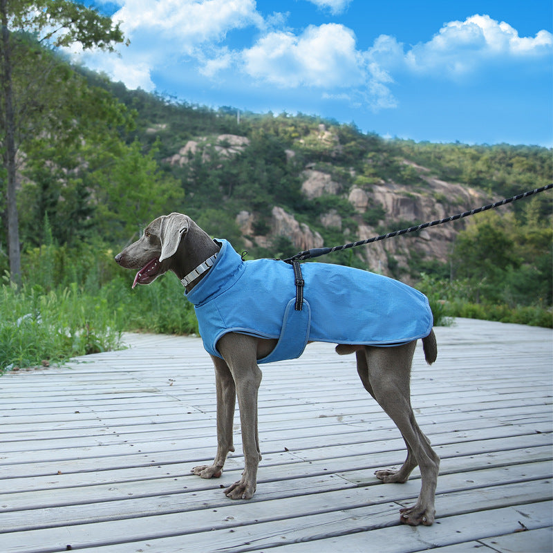 Winter Dog Ski Shell Jacket