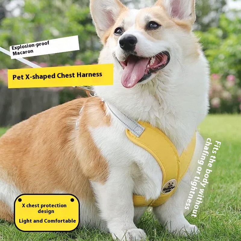 Polyester Pet Vest And Hand-Holding Rope