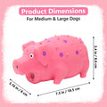 Grunting Latex Pig Dog Toy