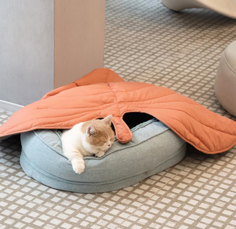 Universal Dog Mat for All Seasons