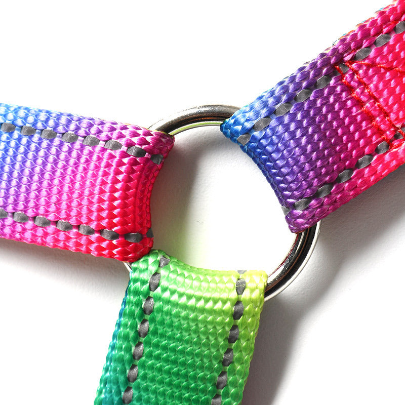Creative Color Dog Leash Vest