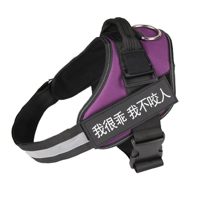 Simple Dog Leash And Chest Strap Set