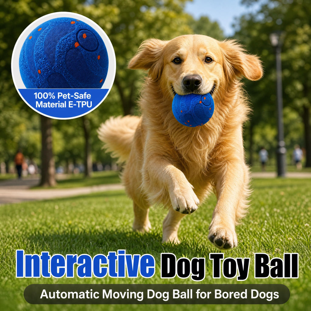 Self-Moving Interactive Dog Toy Ball