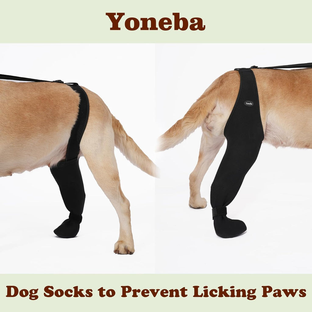 Dog Socks To Prevent Licking Paws , Breathable Leg Sleeve To Stop Licking And Biting, Firm And Secure Adjustable Size Dog Recovery Sleeve So