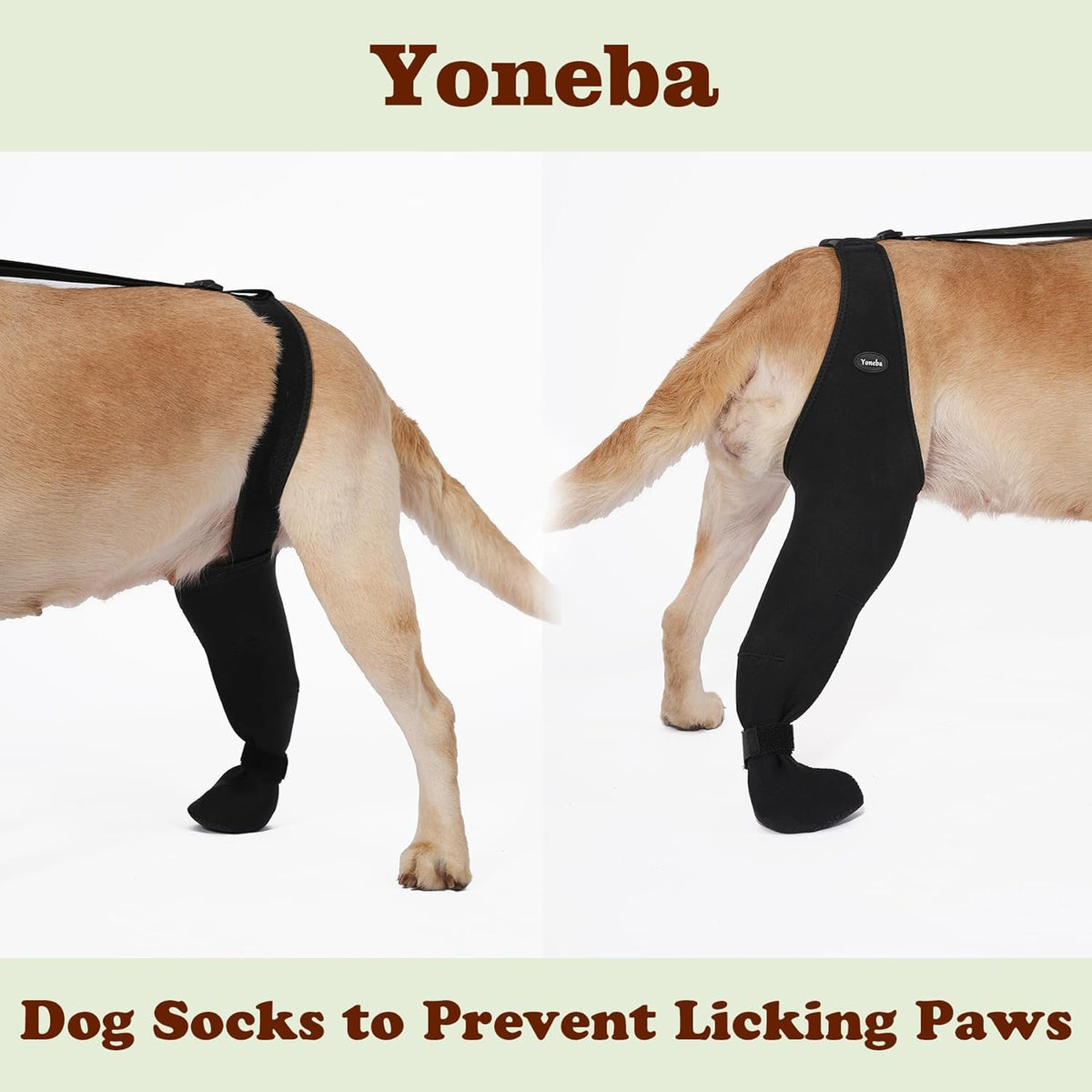 Dog Socks To Prevent Licking Paws , Breathable Leg Sleeve To Stop Licking And Biting, Firm And Secure Adjustable Size Dog Recovery Sleeve So