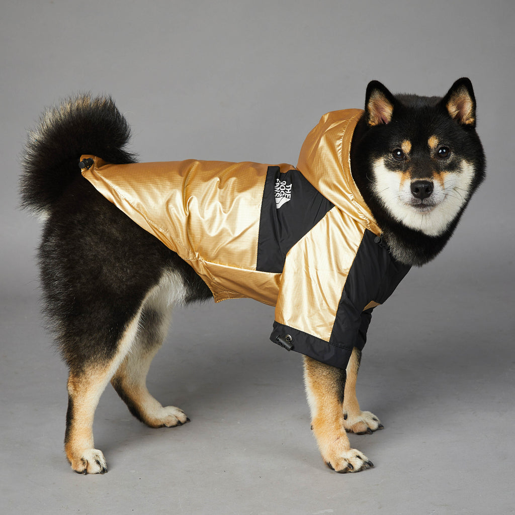 Windproof Rainproof Large Dog Raincoat Jacket