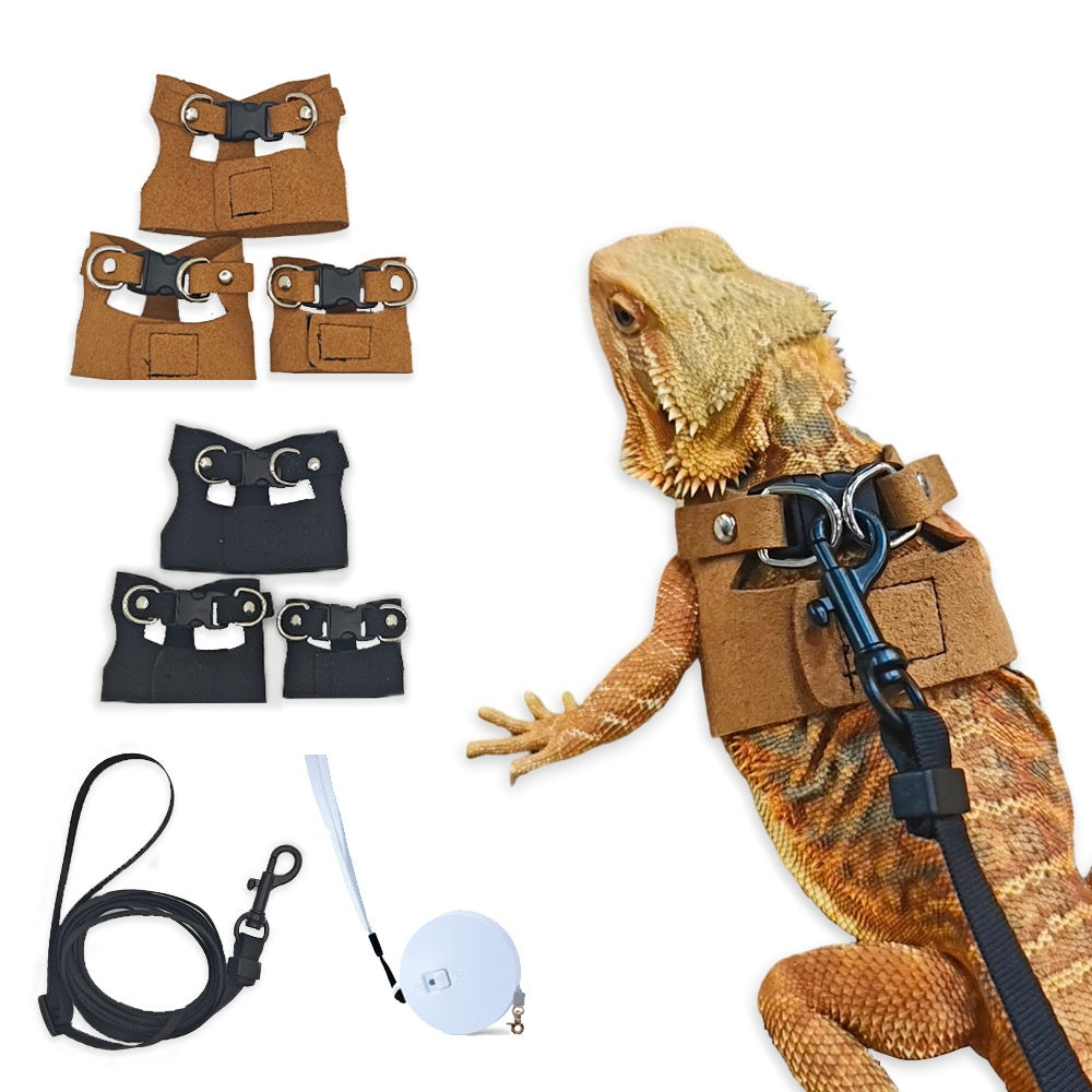 Lizard Chameleon Squirrel Pet Outdoor Chest And Harness