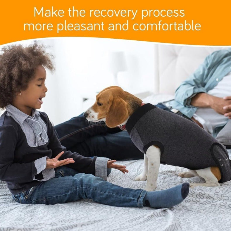 Soft Dog Recovery Suit After Surgery